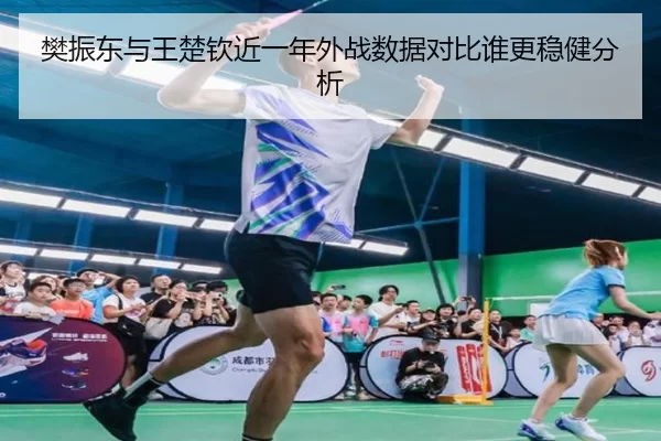 樊振东与王楚钦近一年外战数据对比谁更稳健分析